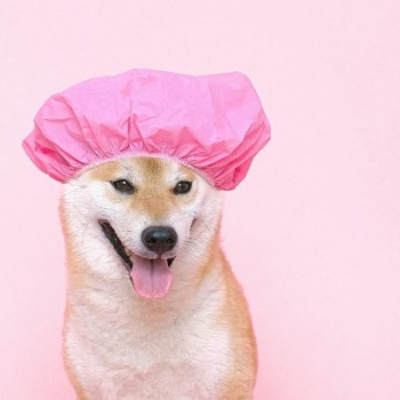 „Humor“. Wie du damit die Welt und dein Business besser machst.